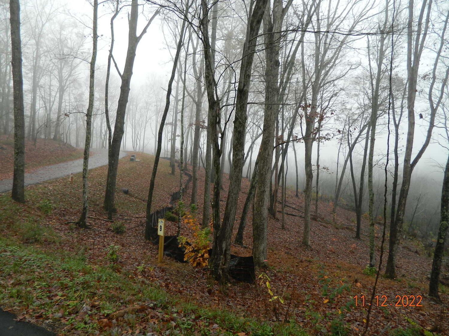 Couples Retreat: King Bed:Hot Tub:Firepit & More Blue Ridge Bagian luar foto
